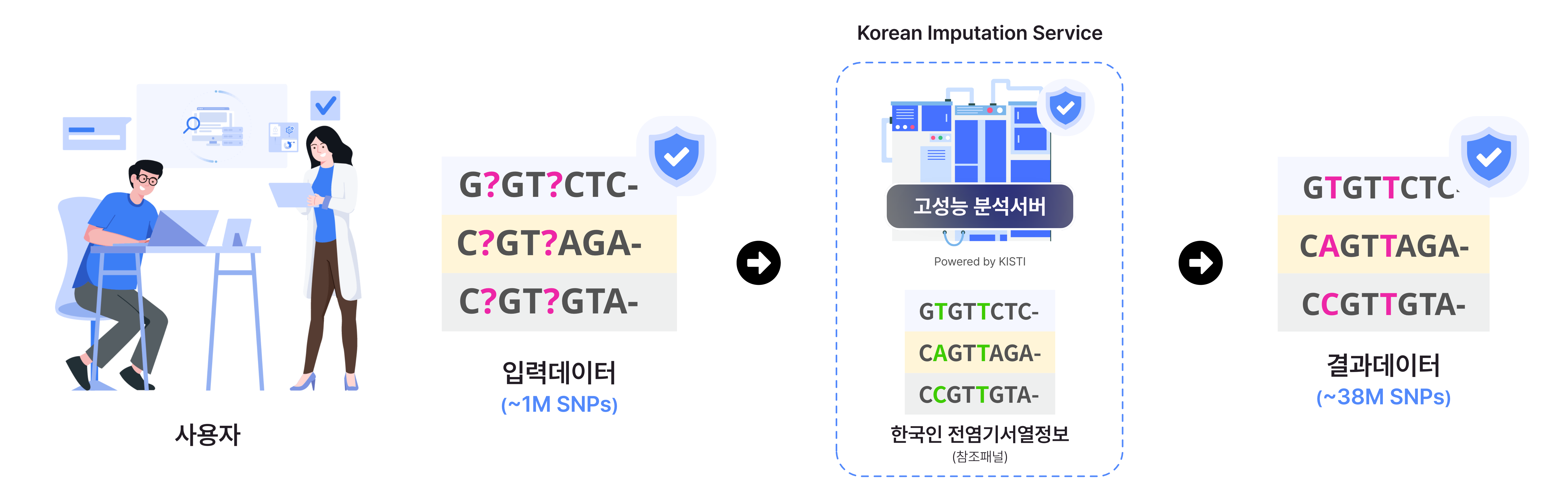 한국인 임퓨테이션 서비스 흐름도. 사용자가 유전변이 VCF 데이터를 업로드한 뒤, 분석옵션을 선택하고 잡을 서버에 보내면 한국인 임퓨테이션 패널로 유전변이를 확장하여 사용자에게 분석결과를 다운로드할 수 있게 하는 서비스
